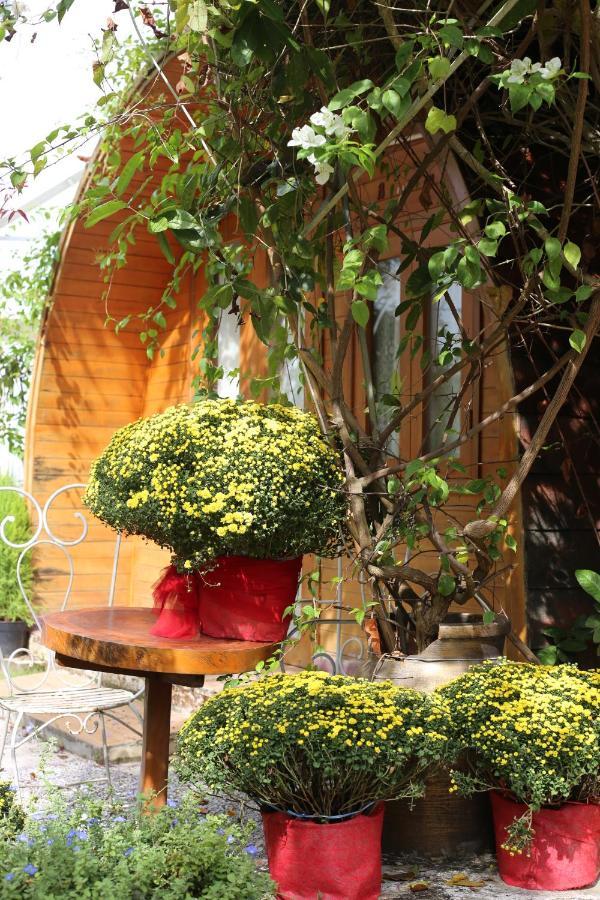 Little Dalat Coffee And Homestay Кантхо Экстерьер фото